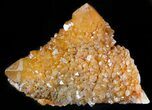 Sunshine Cactus Quartz Crystals - South Africa #47191-1